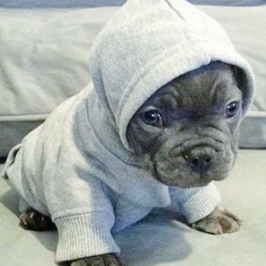 Meet your Posher, Marcos